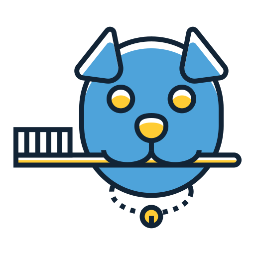 Dental Care Dental Care